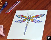 Intricate Dragonfly by Rachel . Photo by Terry Allen.
