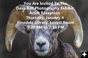 You're Invited!. Photo by Dave Bell.