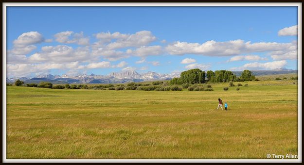 A Walk in the High Meadow. Photo by Terry Allen.