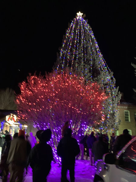 Tree Lighting. Photo by Dawn Ballou, Pinedale Online.