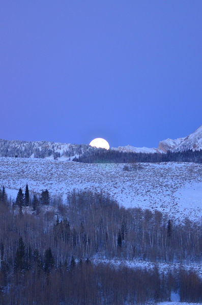 Moon rise. Photo by Rob Tolley.
