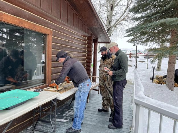 Measuring fish. Photo by Pinedale Lions Club.