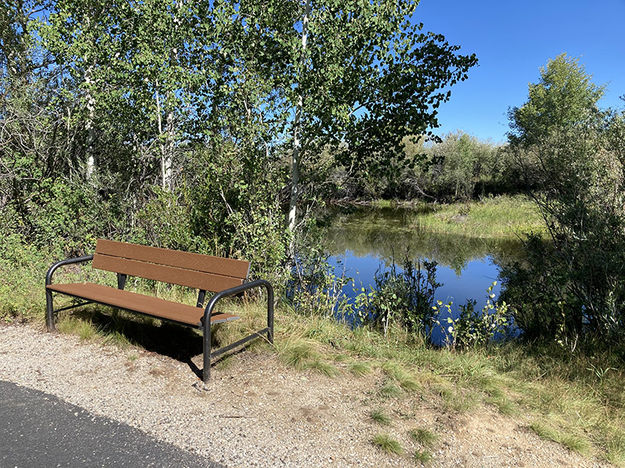 Rest bench. Photo by Dawn Ballou, Pinedale Online.