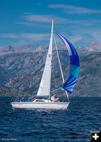 Sailing. Photo by Tony Vitolo.