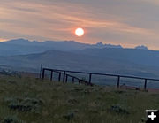 August 17 2023 smoky sunrise. Photo by Renee Smythe.