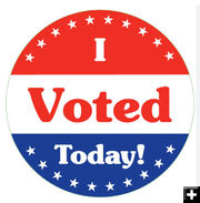 I Voted Today. Photo by .