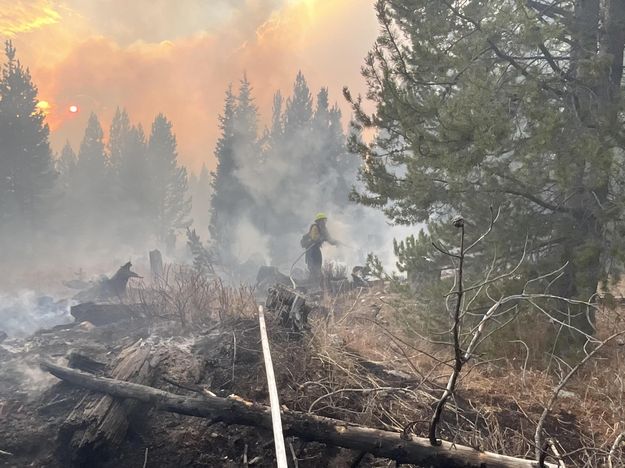 Pack Trail Fire mop up. Photo by Teton Interagency Fire.