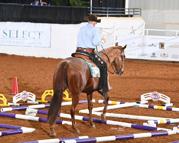 2024 AQHA Championships. Photo by .