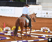 2024 AQHA Championships. Photo by .