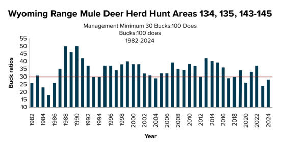 2024 Bucks. Photo by Wyoming Game & Fish.