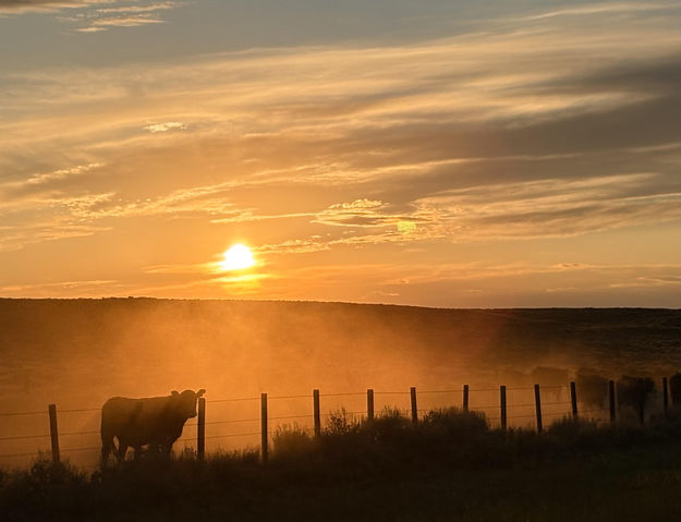 Sunset drift. Photo by Mike Brannan.