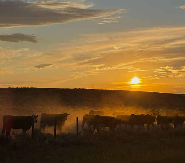 Sunset dust. Photo by Mike Brannan.