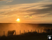 Sunset drift. Photo by Mike Brannan.