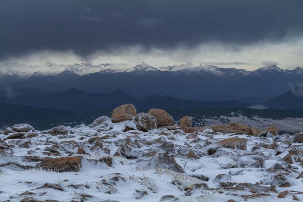 Long View. Photo by Dave Bell.