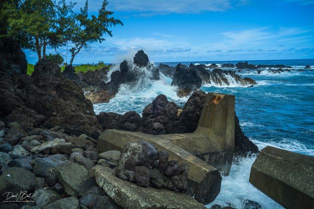 Laupehoehoe Coastal Barrier. Photo by Dave Bell.