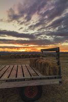 Hay Wagon Sunrise. Photo by Dave Bell.