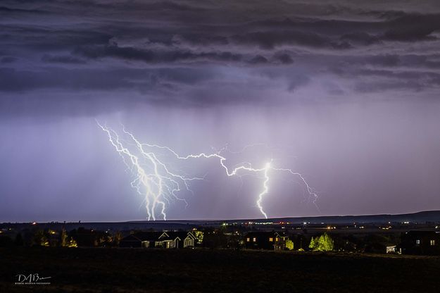 Quads. Photo by Dave Bell.