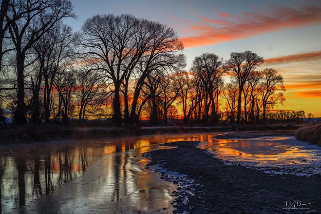 Beautiful Morning Light. Photo by Dave Bell.