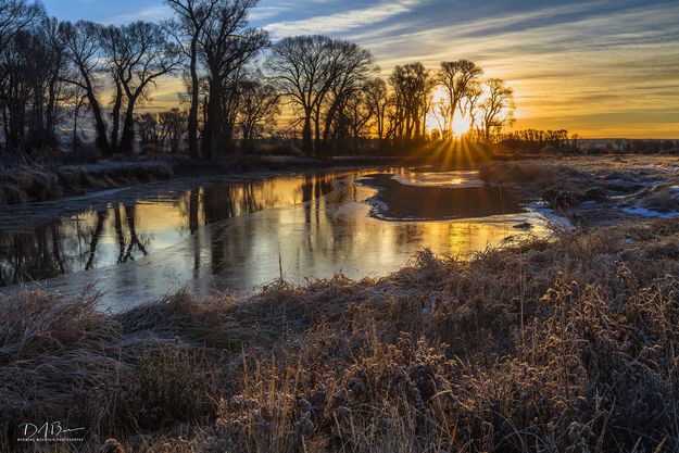 Cold Morning On The Green. Photo by Dave Bell.