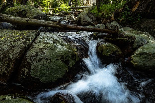 Sweet Water. Photo by Dave Bell.