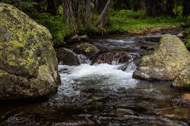 Beautiful Water. Photo by Dave Bell.