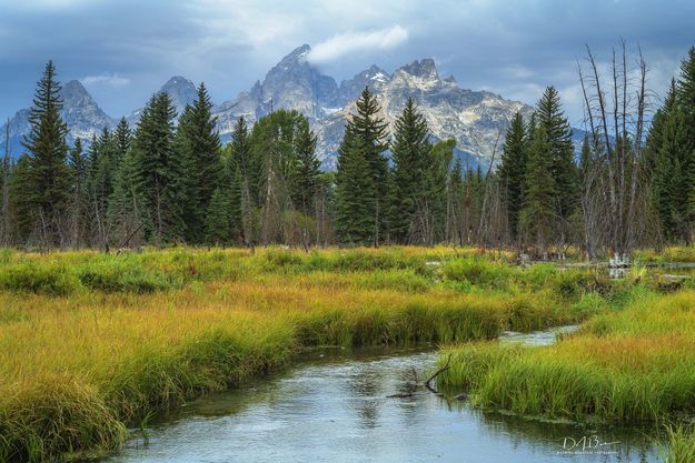 Teton Flagging. Photo by Dave Bell.