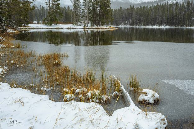 Iceing Over. Photo by Dave Bell.