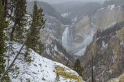 Snowy Lower Falls. Photo by Dave Bell.