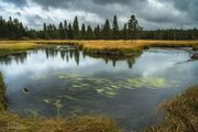 Beautiful Bend. Photo by Dave Bell.