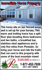 Pinedale Properties Real Estate Inc.