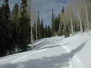 Groomed snowmachine trails. Photo courtesy Triple Peak Guest Ranch.