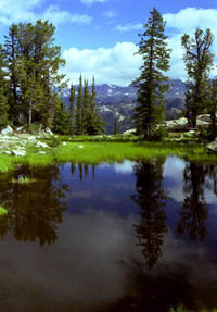 Pond by Photographer's Point. Pinedale Online photo.
