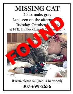 Missing cat has been found