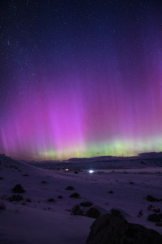 Aurora view. Photo by David Rule.