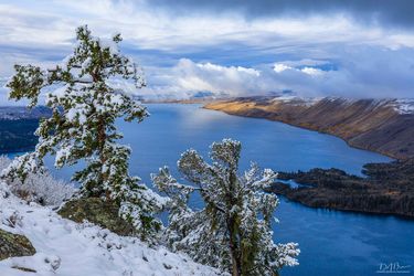 A touch of winter. Photo by Dave Bell.