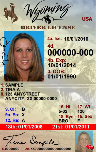 License For Minors Pinedale Online News Wyoming