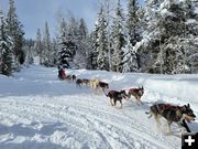 Jackson Stage. Photo by Pedigree Stage Stop Sled Dog Race.