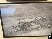 Ranching. Photo by Albert Sommers.