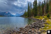 Lakeshore. Photo by Dave Bell.