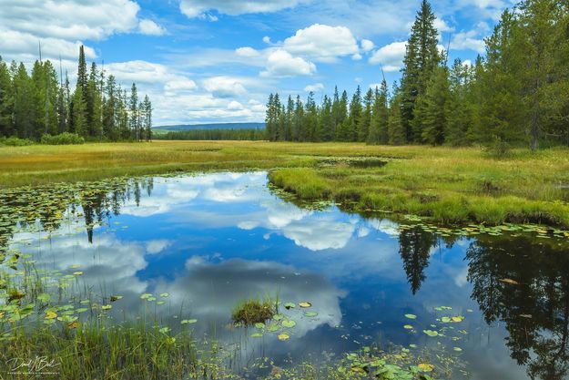 Bechler Meadows. Photo by Dave Bell.