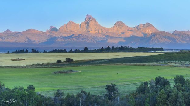 Back Side View. Photo by Dave Bell.