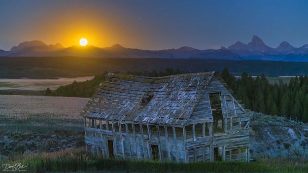 Moon Rise. Photo by Dave Bell.