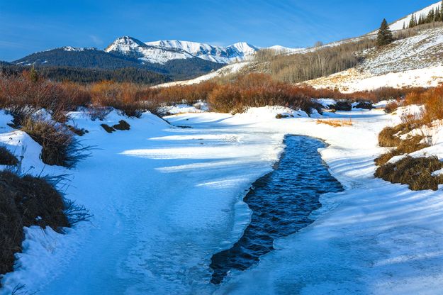 Open Water On South Cottonwood. Photo by Dave Bell.