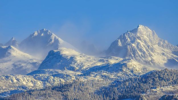 . Photo by Dave Bell.