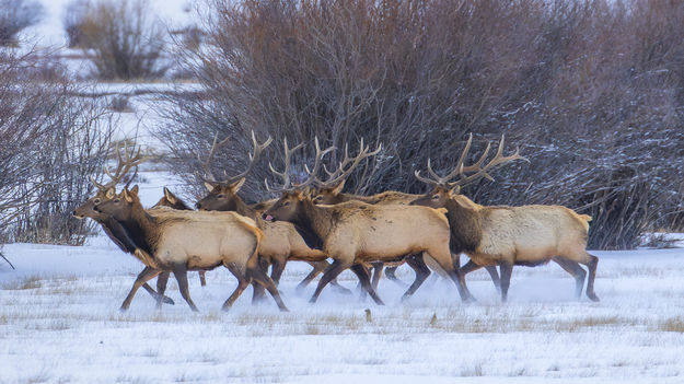 . Photo by Dave Bell.