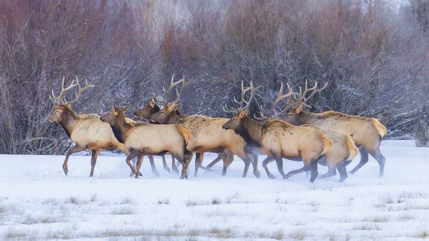 . Photo by Dave Bell.