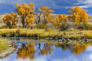 Color And The Green River. Photo by Dave Bell.