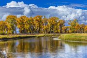 Fall Color Reflections. Photo by Dave Bell.
