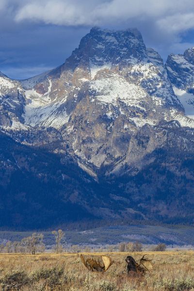 Scratching The Itch. Photo by Dave Bell.