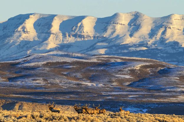 . Photo by Dave Bell.